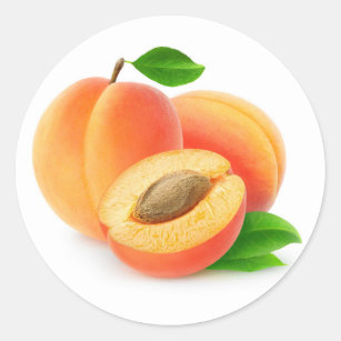 Fresh apricots with leaves classic round sticker