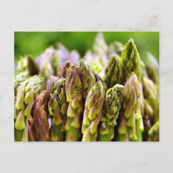 Fresh! Asparagus Postcard by artinphotography at Zazzle
