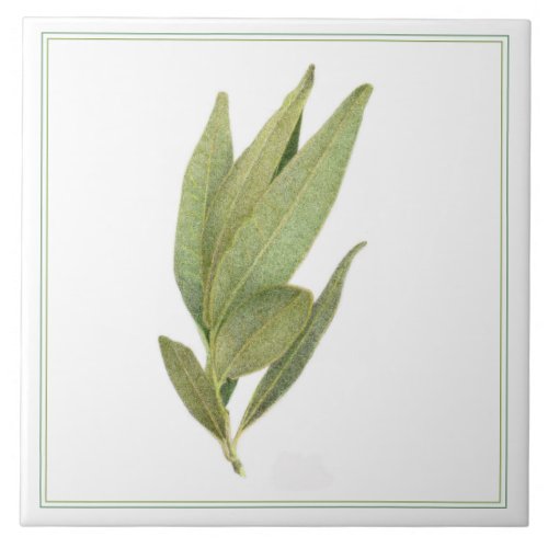 FRESH BAY LEAVES 6x6 Ceramic Tile _text