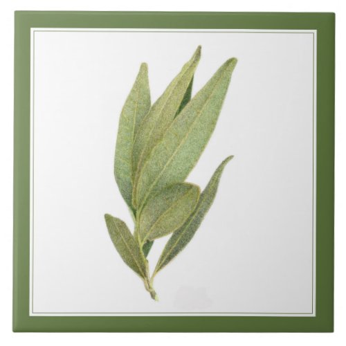 FRESH BAY LEAVES 6x6 Ceramic Tile _text Green