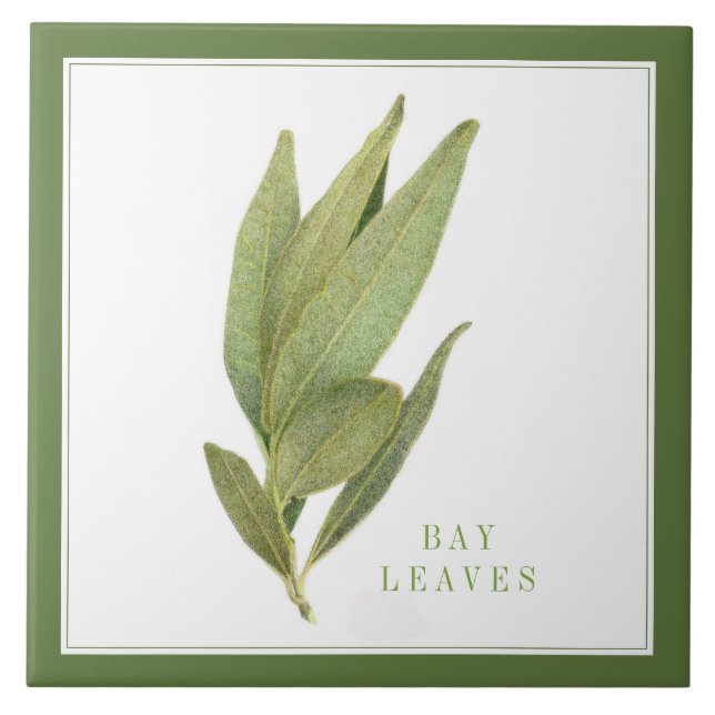 FRESH BAY LEAVES 6"x6" Ceramic Tile (+text) Green (Front)