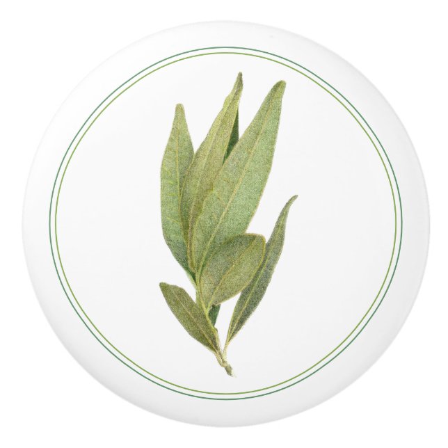 FRESH BAY LEAVES Ceramic Knob (Front)