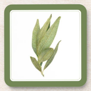 FRESH BAY LEAVES Hard Plastic Coasters -text Green