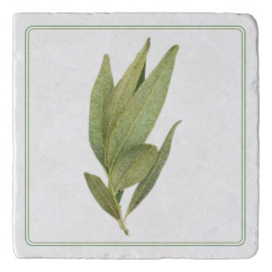 FRESH BAY LEAVES Marble Stone Trivet (-text)