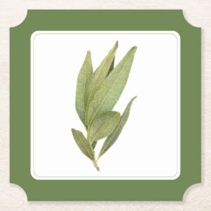 FRESH BAY LEAVES Ticket Paper Coaster -text Green