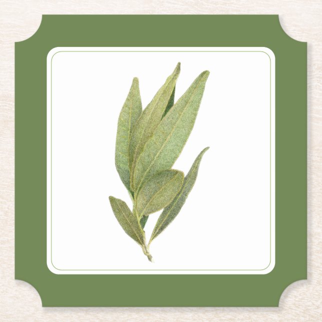 FRESH BAY LEAVES Ticket Paper Coaster -text Green (Front)