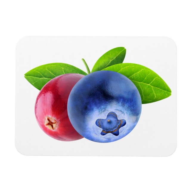 Fresh berries magnet (Horizontal)