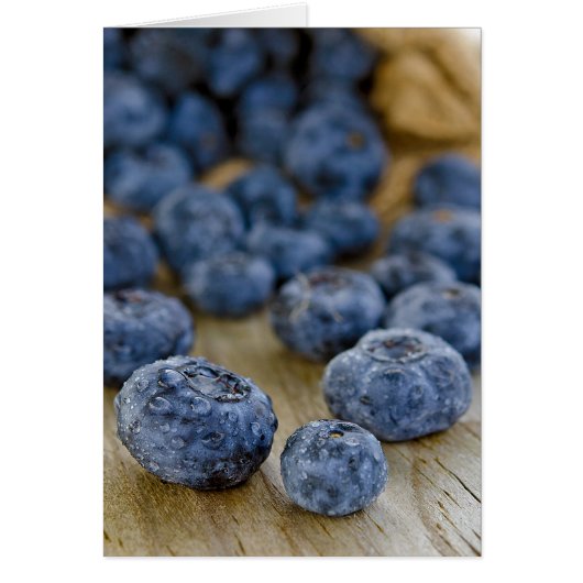 Fresh Blueberries Cards (Front)