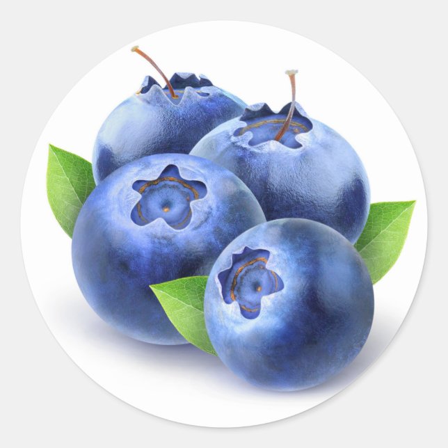 Fresh blueberries classic round sticker (Front)
