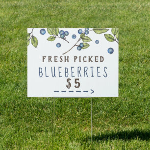 Fresh Blueberries Custom Arrow Sign