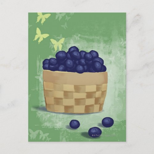 Fresh Blueberries Postcard