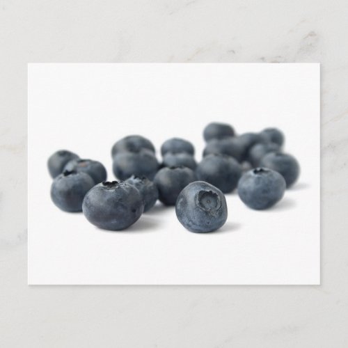 Fresh Blueberries Postcard