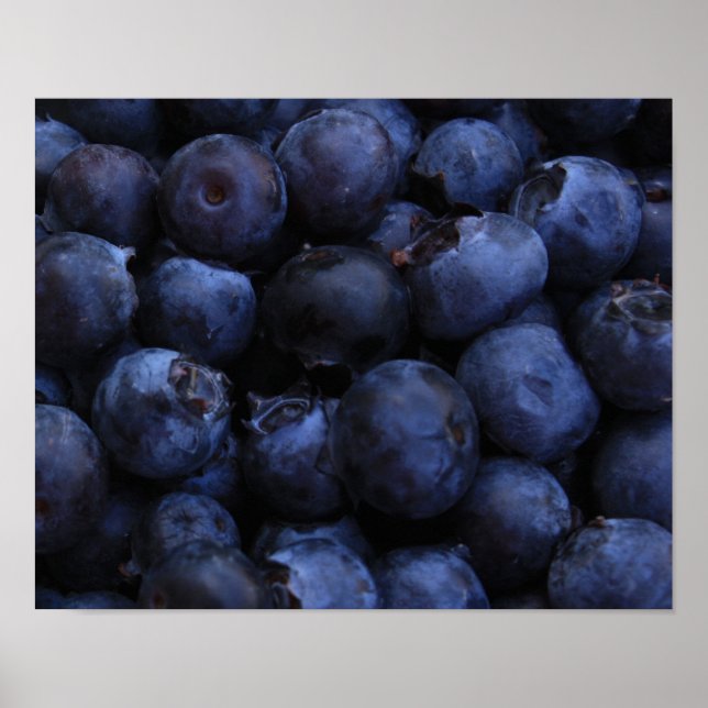 Fresh Blueberries Poster (Front)