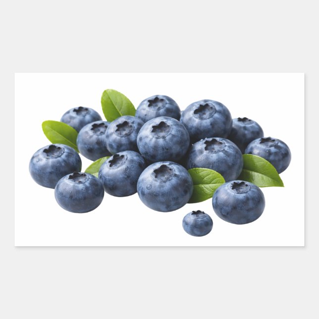 Fresh Blueberries with Leaves Sticker (Front)