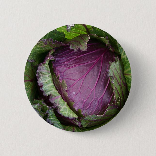 Fresh Cabbage Button (Front)