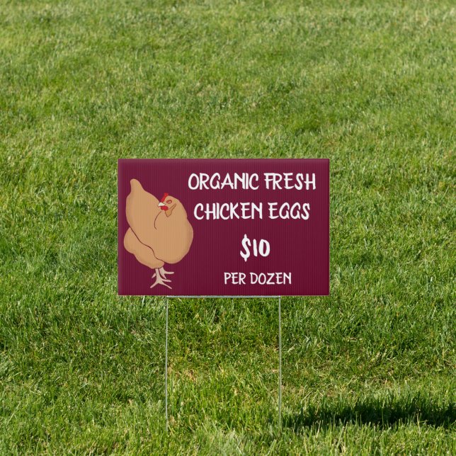 Fresh Chicken Eggs Light Brown Chicken Burgundy Sign (Insitu)