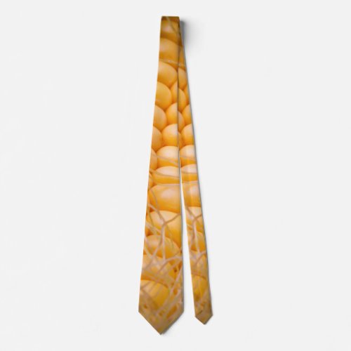 Fresh corn on the cob husk opening up neck tie