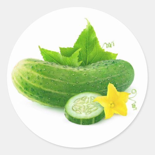 Fresh cucumber classic round sticker