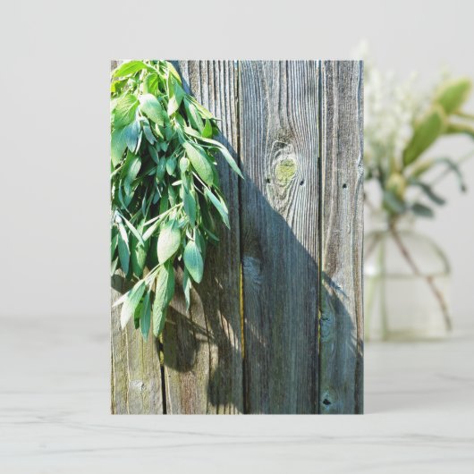 Fresh-cut Sage Barn-wood (Standing Front)