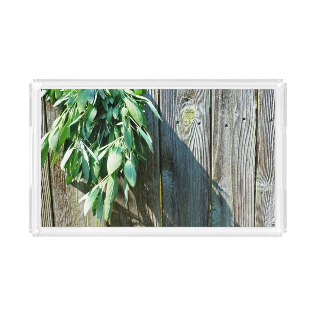 Fresh-cut Sage Barn-wood Acrylic Tray (Front)