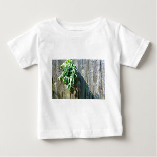 Fresh-cut Sage Barn-wood Baby T-Shirt