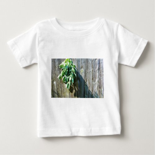 Fresh_cut Sage Barn_wood Baby T_Shirt