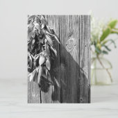 Fresh-cut Sage Barn-wood Grayscale (Standing Front)