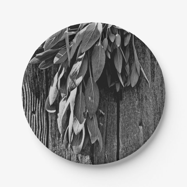 Fresh-cut Sage Barn-wood Grayscale Paper Plates (Front)