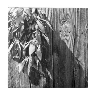 Fresh-cut Sage Barn-wood Grayscale Tile