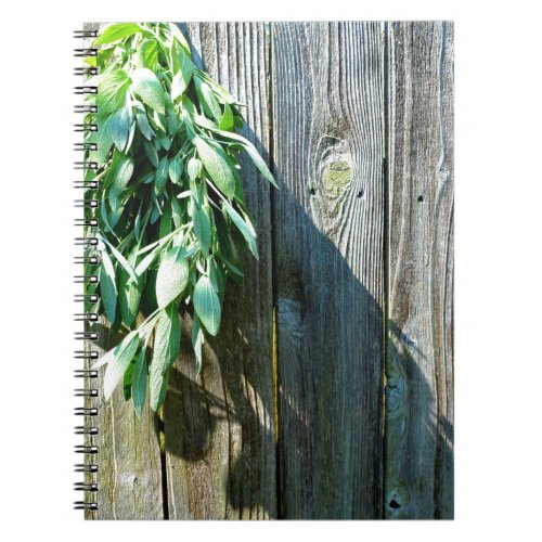 Fresh_cut Sage Barn_wood Notebook