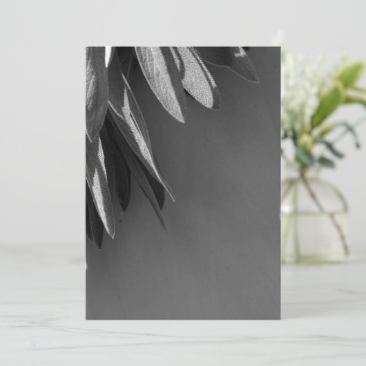 Fresh-cut Sage Grayscale (Standing Front)