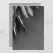 Fresh-cut Sage Grayscale (Front/Back)