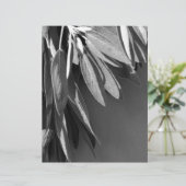 Fresh-cut Sage Grayscale (Standing Front)