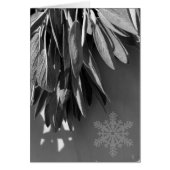 Fresh-cut Sage Grayscale (Front)