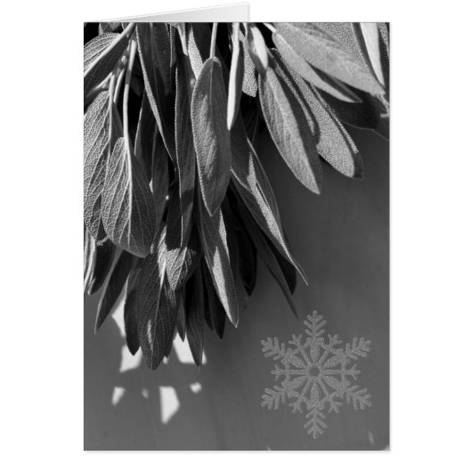 Fresh-cut Sage Grayscale Cards (Front)
