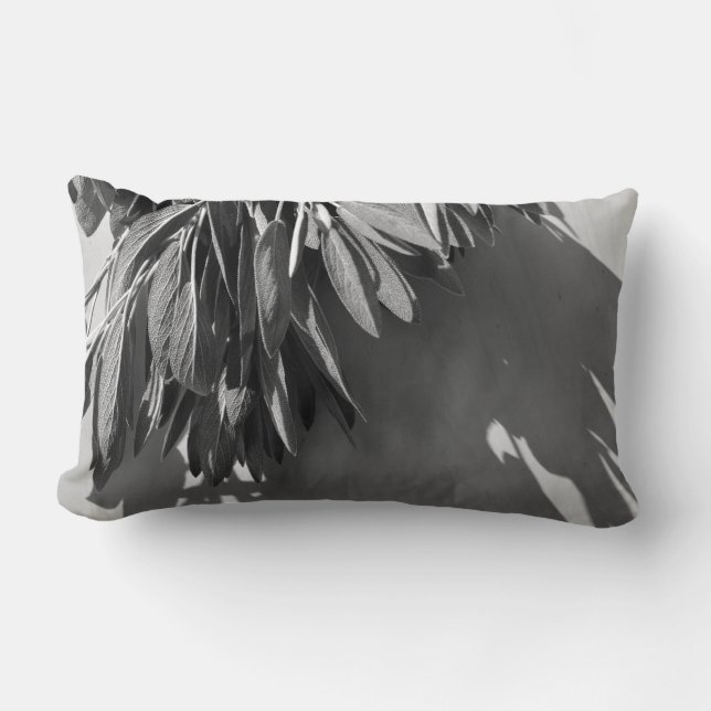 Fresh-cut Sage Grayscale Lumbar Pillow (Front)