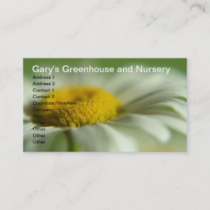 Fresh Daisy Business Card