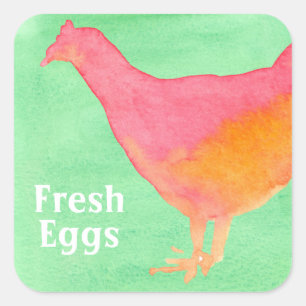 Fresh Eggs Carton Watercolor Chicken Square Sticker