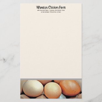 Fresh Eggs Chicken Farmers Personal Writing Paper by DustyFarmPaper at Zazzle