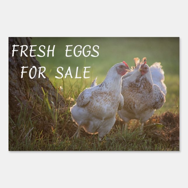 FRESH EGGS FOR SALE YARD SIGN (Front)