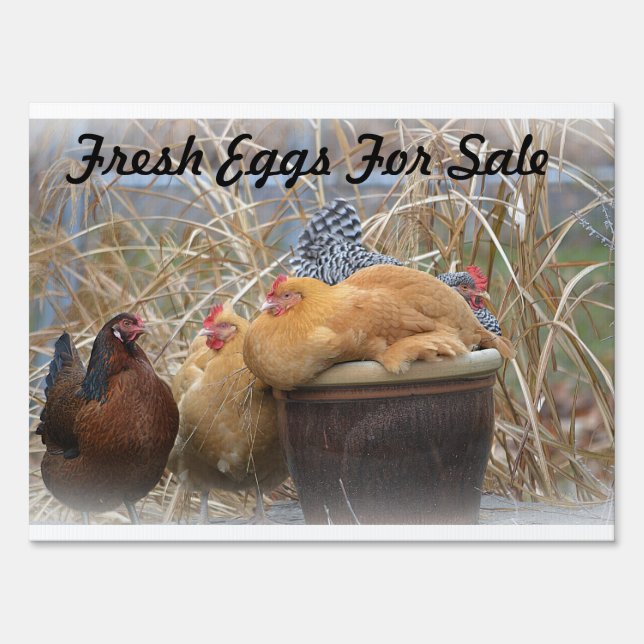 Fresh Eggs Sign (Front)