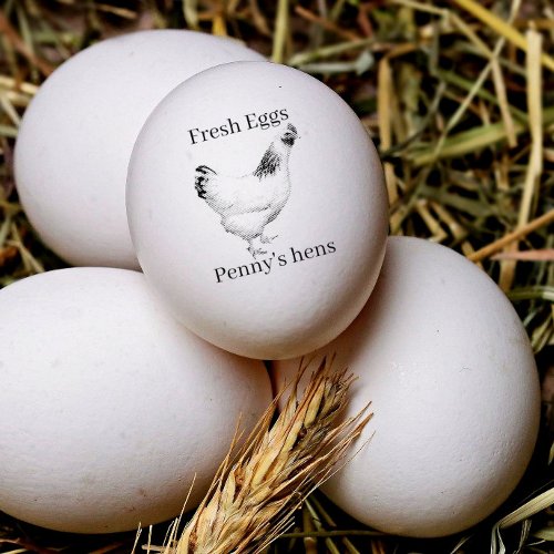 Fresh Eggs Your Name Chicken Hens  Egg Stamp 