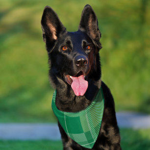 Fresh Emerald Sage Plaid Aesthetic Pet Bandana Collar