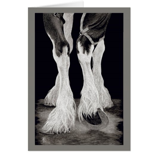 "Fresh Feathers" - Shire Draft Horse Cards (Front)