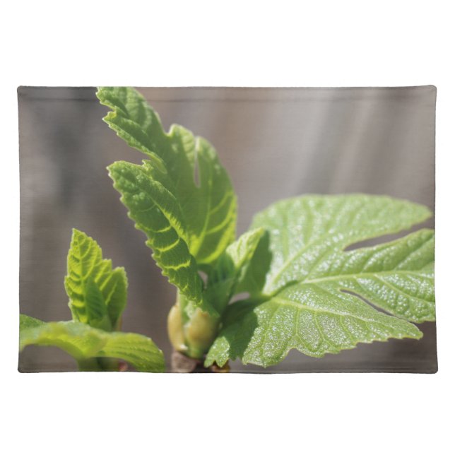 Fresh Fig Leaf Placemat (Front)