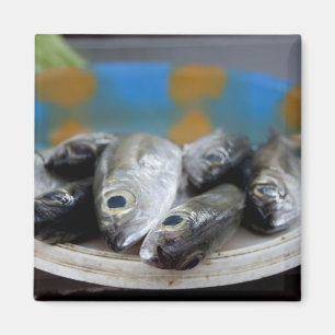 Fresh fish on fish market Mercado de Peixe), Magnet