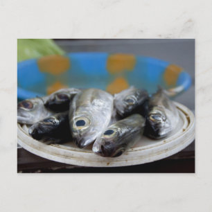 Fresh fish on fish market Mercado de Peixe), Postcard