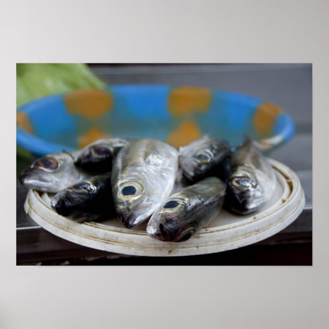 Fresh fish on fish market Mercado de Peixe), Poster (Front)