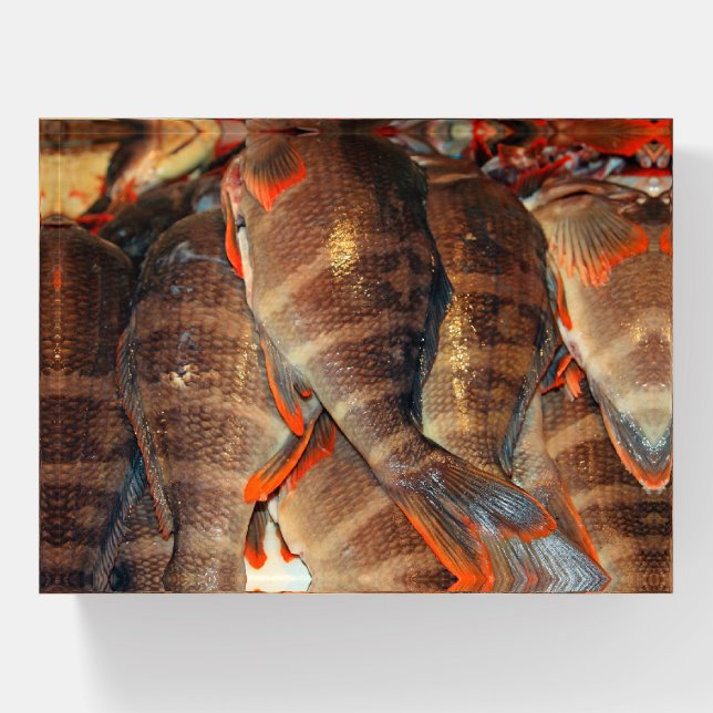 Fresh fish paperweight (Front)
