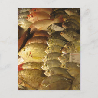 Fresh fish postcard